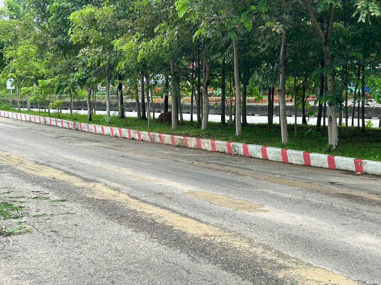 nhà vườn hoài đức hoài nhơn giá rẻ